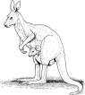 http://www.supercoloring.com/sites/default/files/styles/coloring_full/public/cif/2013/03/red-kangaroo-coloring-page.gif
