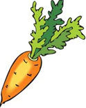морква.PNG