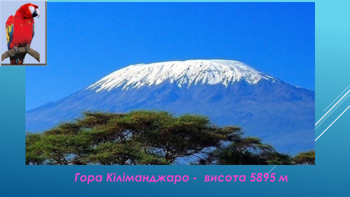 Гора Кіліманджаро - висота 5895 м