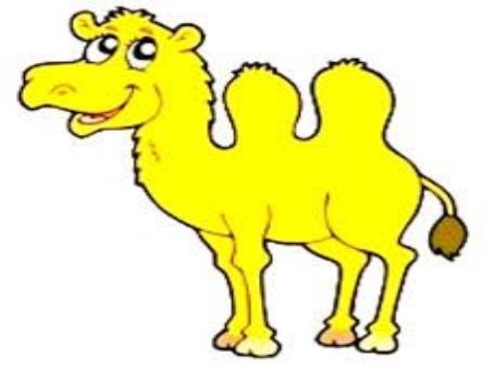 Результат пошуку зображень за запитом "малюнок верблюда"