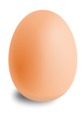 Так выглядит куриное яйцо | Пикабу