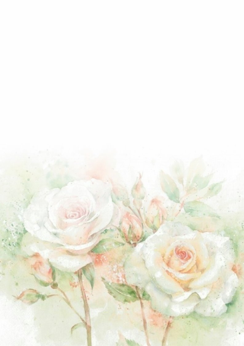 小清新白色唯美花卉背景信纸