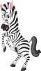 https://www.colourbox.com/preview/11118084-cartoon-zebra.jpg