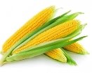 Картинки по запросу картинки кукуруза