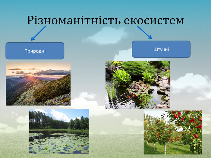 Презентація до уроку на тему "Екосистема. Різноманітність екосистем"