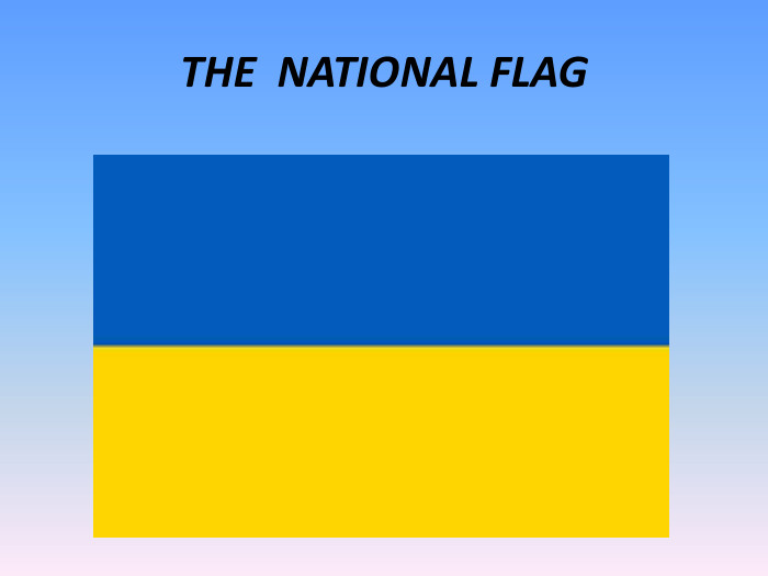 THE  NATIONAL FLAG 