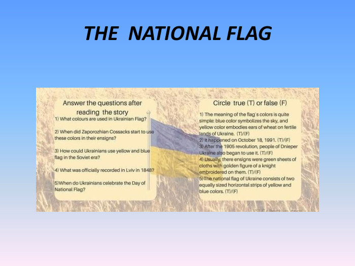 THE  NATIONAL FLAG 