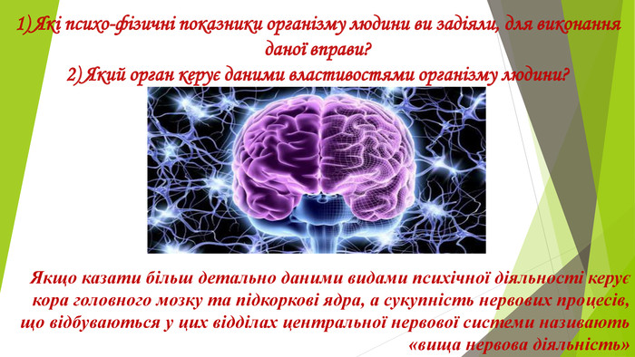 Реферат: Фізіологія нервової системи і вищої нервової діяльності