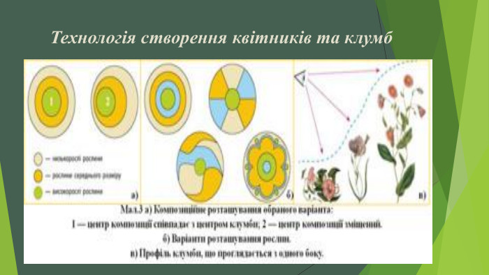  Технологія створення квітників та клумб