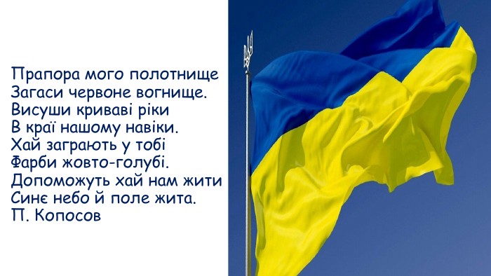 Прапора мого полотнище Загаси червоне вогнище. Висуши криваві ріки В краї нашому навіки. Хай заграють у тобі Фарби жовто-голубі. Допоможуть хай нам жити Синє небо й поле жита. П. Копосов