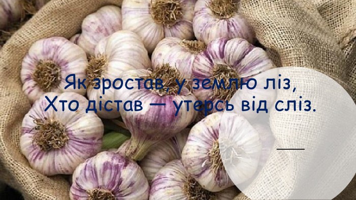 Як зростав, у землю ліз, Хто дістав — утерсь від сліз. 