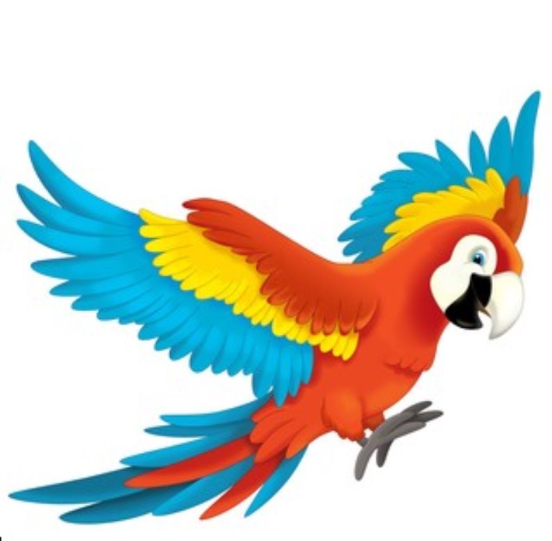 Parrot Clipart High Res Stock Images | Shutterstock