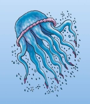 Картинки по запросу медуза малюнок