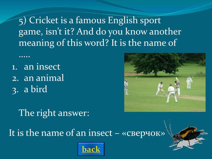 The right answer: an insectan animala bird It is the name of an insect – «сверчок» 5) Cricket is a famous English sport game, isn’t it? And do you know another meaning of this word? It is the name of ….. back 