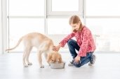 Милая девушка кормит собаку Premium Фотографии