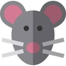 Картинки по запросу mouse