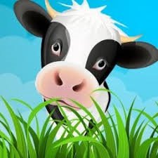 Картинки по запросу cow