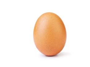 Картинки по запросу "egg"