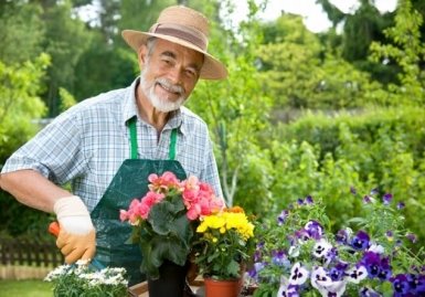 Find and Hire a Gardener | What Does a Professional Gardener Do ...