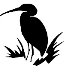 Силуэты птиц Бесплатная фотография - Public Domain Pictures