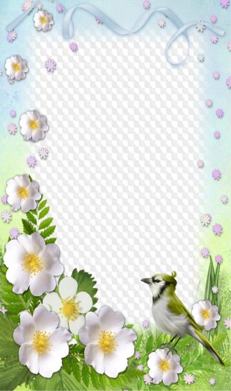 C:\Users\Toya\Desktop\1557165061_spring_flowers.jpg