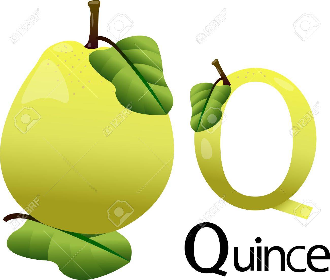 -q-with-quince.jpg