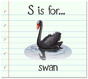 letter-s-swan.jpg