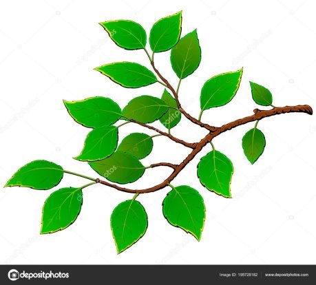 C:\Users\ADM\Desktop\depositphotos_195728182-stock-illustration-branch-tree-green-leaves.jpg