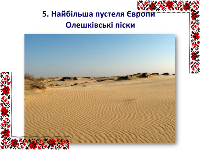 5. Найбільша пустеля Європи. Олешківські піски 