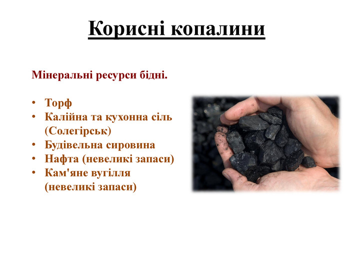 Корисні копалини. Мінеральні ресурси бідні. Торф. Калійна та кухонна сіль (Солегірськ)Будівельна сировина. Нафта (невеликі запаси)Кам'яне вугілля (невеликі запаси)