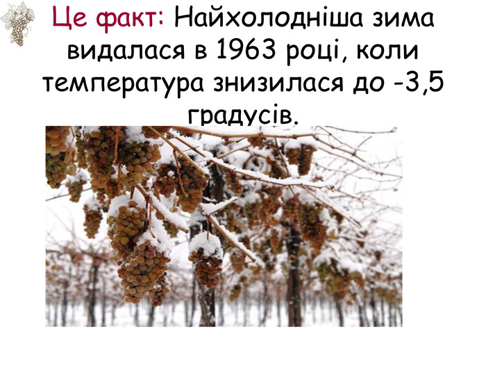 Це факт: Найхолодніша зима видалася в 1963 році, коли температура знизилася до -3,5 градусів.