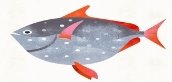 Opah fish illustration from a series of Californian Sea Creatures for Zócalo Public Square.                     </div>
                </div>
                                                                                                            </div>
                    

                    

                                    </div>

                <div class=