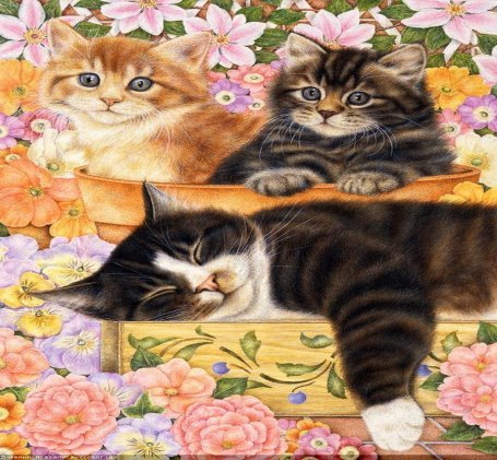 https://i.pinimg.com/736x/27/9b/73/279b73ae8f8851300d3e2cff1207e7fd--nottingham-cat-art.jpg