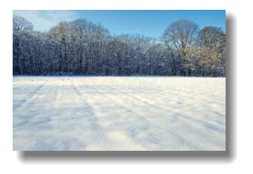 Картинки по запросу поле в снігу