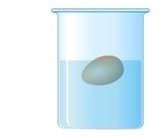 Картинки по запросу "умови плавання тіл картинки плаванняз яйцем дослід"