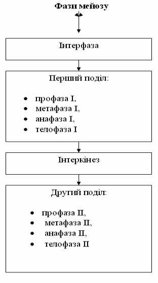 http://disted.edu.vn.ua/media/images/student1/biologia/10_kl/lab_11/03.gif
