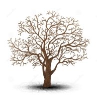 Картинки по запросу "дерево без листя малюнок"