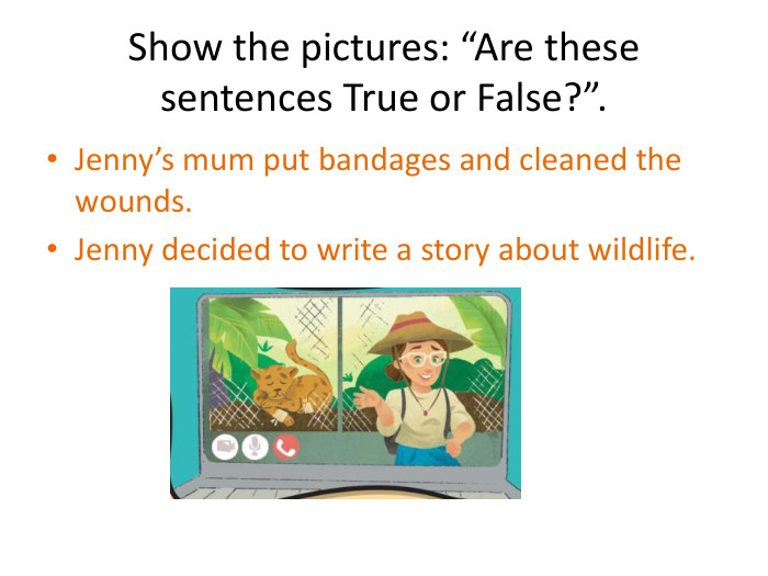 Show the pictures: “Are these sentences True or False?”. Jenny’s mum put bandages and cleaned the wounds. Jenny decided to write a story about wildlife.