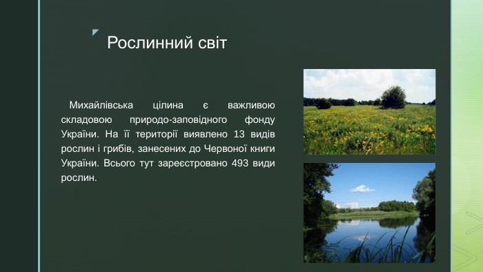 Рослинний світ Михайлівська цілина є важливою складовою природо-заповідного фонду України. На її території виявлено 13 видів рослин і грибів, занесених до Червоної книги України. Всього тут зареєстровано 493 види рослин. 