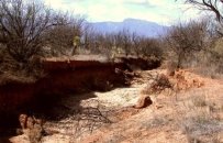 http://ultraprogress.ru/images/stories/Images-01/01/soil-erosion-problem.jpg