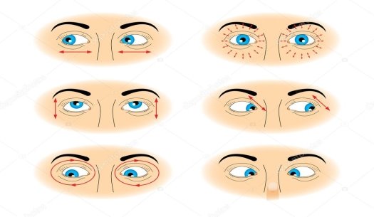 C:\Users\Пщдв\Desktop\depositphotos_5196979-stock-illustration-exercises-for-eyes.jpg
