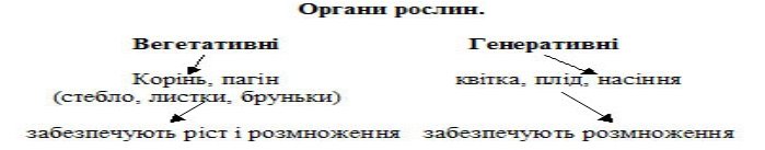 http://pti.kiev.ua/uploads/posts/2010-02/1265215921_skhemi.jpg