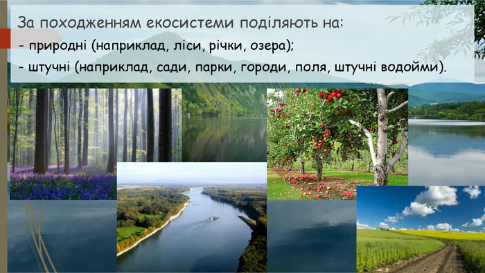  За походженням екосистеми поділяють на: - природні (наприклад, ліси, річки, озера); - штучні (наприклад, сади, парки, городи, поля, штучні водойми). 
