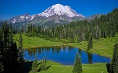 США Горы Леса Озеро Парки Mount Rainier national Park, Tipsoo Lake, Washington state Природа