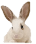 Картинки по запросу rabbit png