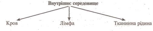 http://www.subject.com.ua/lesson/biology/9klas/9klas.files/image026.jpg