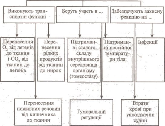 http://www.subject.com.ua/lesson/biology/9klas/9klas.files/image027.jpg