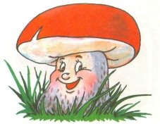 Картинки по запросу грибы картинки для детей