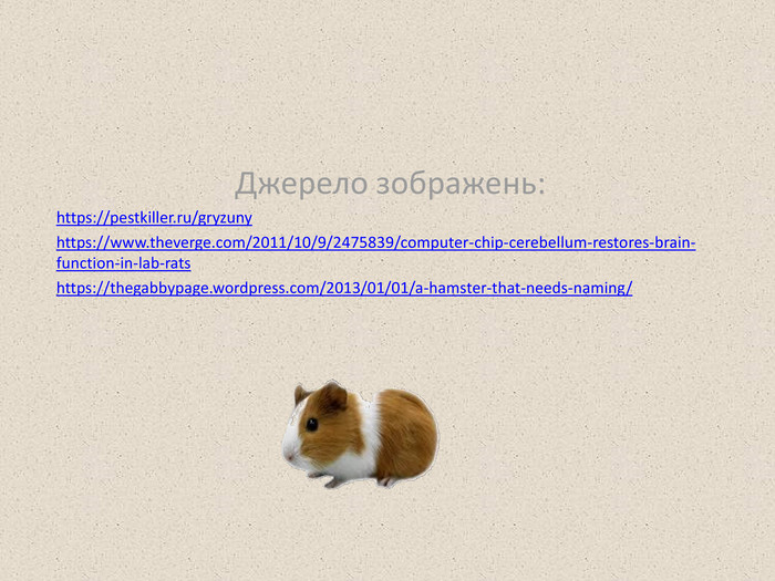 Джерело зображень:https://pestkiller.ru/gryzunyhttps://www.theverge.com/2011/10/9/2475839/computer-chip-cerebellum-restores-brain-function-in-lab-ratshttps://thegabbypage.wordpress.com/2013/01/01/a-hamster-that-needs-naming/ 