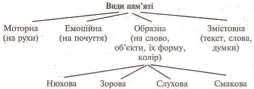 http://subject.com.ua/lesson/biology/9klas/9klas.files/image190.jpg
